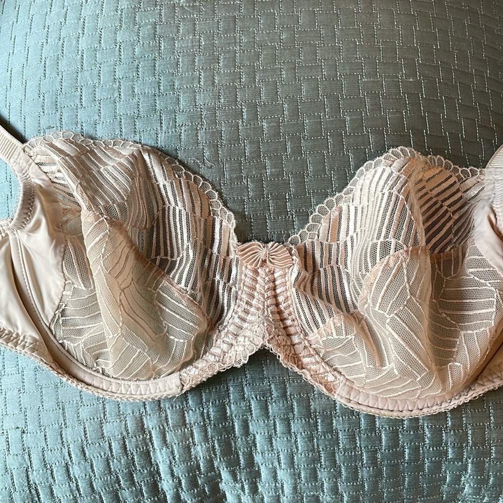 Lacy bra by Wacoal